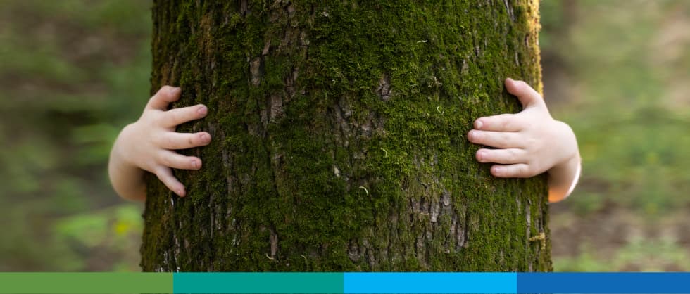 Curso Remoto: Enfoque de Capital Natural. Conceptos, Métodos y Aplicaciones